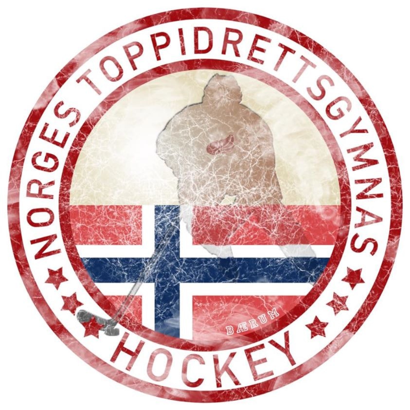 Vi gratulerer Fredrik Bjørndal og Joakim Opsahl!